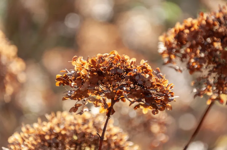 Act naturally while embracing the science